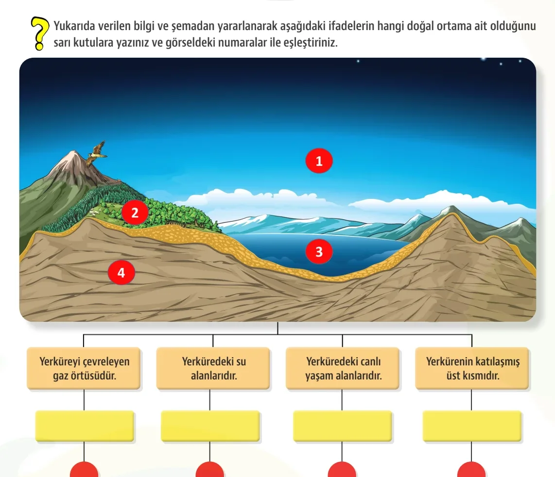 Soru Şeması